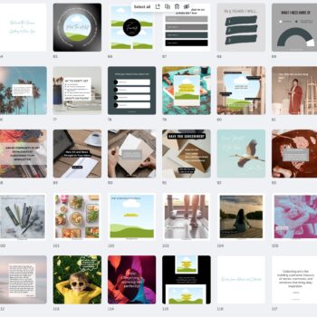 selection of instagram posts